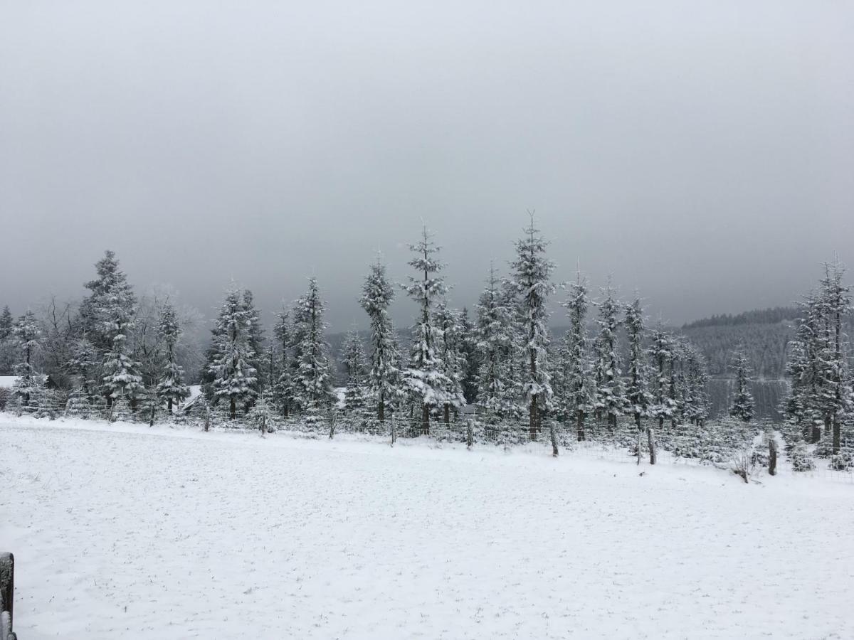 Gaestehaus Mira Winterberg Dış mekan fotoğraf